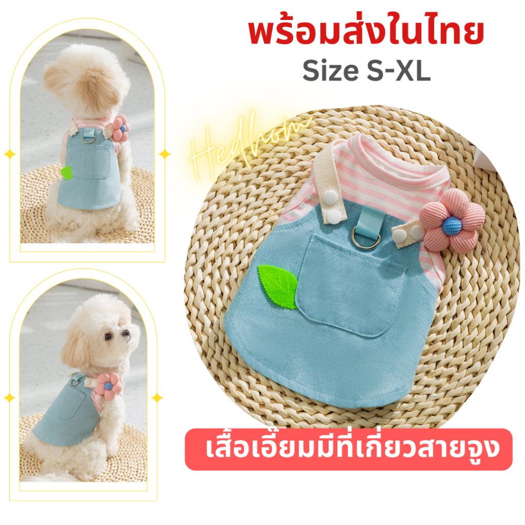 พร้อมส่ง‼️ชุดกระโปรง ชุดเอี๊ยมยีนส์ ผ้าเดนิม ตกแต่งดอกไม้สุดน่ารัก เสื้อผ้าสุนัขและแมวมีห่วงสำหรับเกี่ยวสายจูง