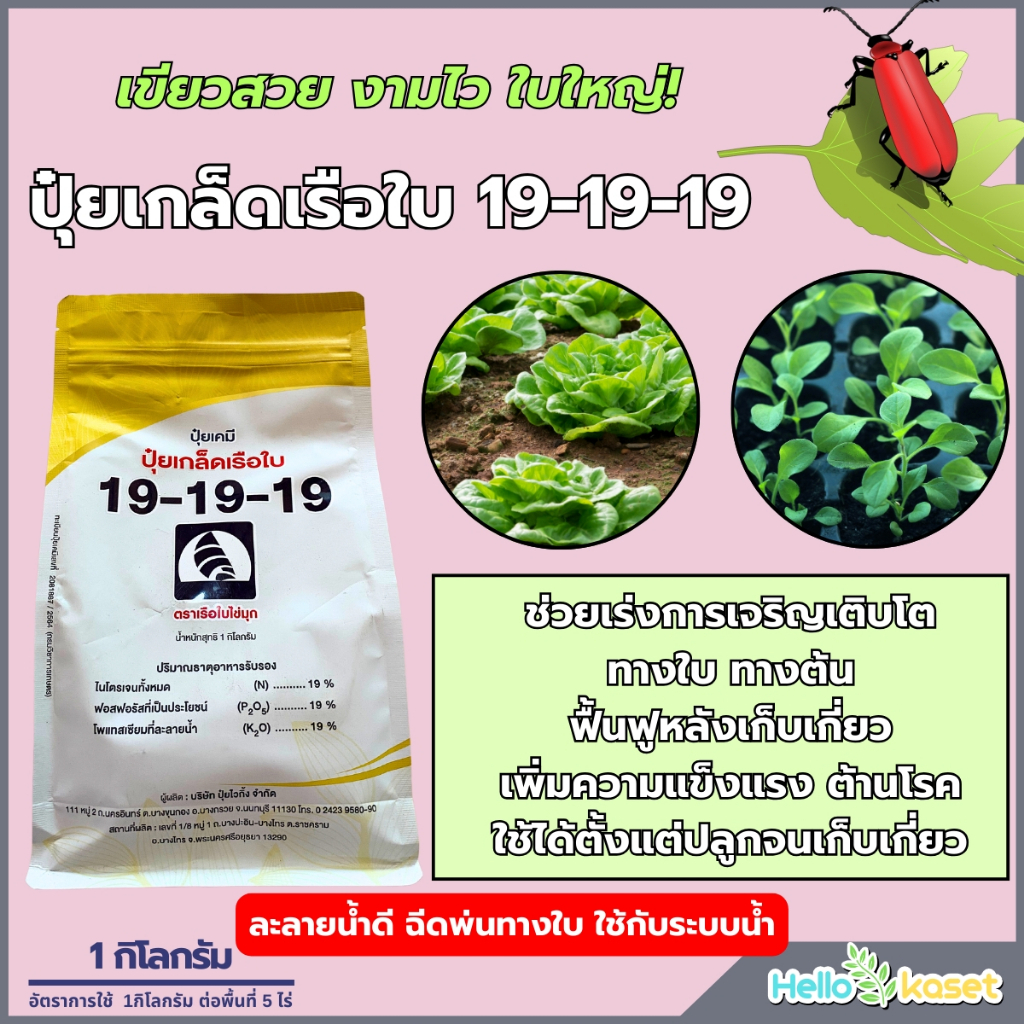 ปุ๋ยเกล็ดเรือใบไข่มุก สูตร 19-19-19 ขนาด 1 กิโลกรัม ช่วยฟื้นฟูต้น บำรุงต้น เร่งต้น เร่งใบ และดอก
