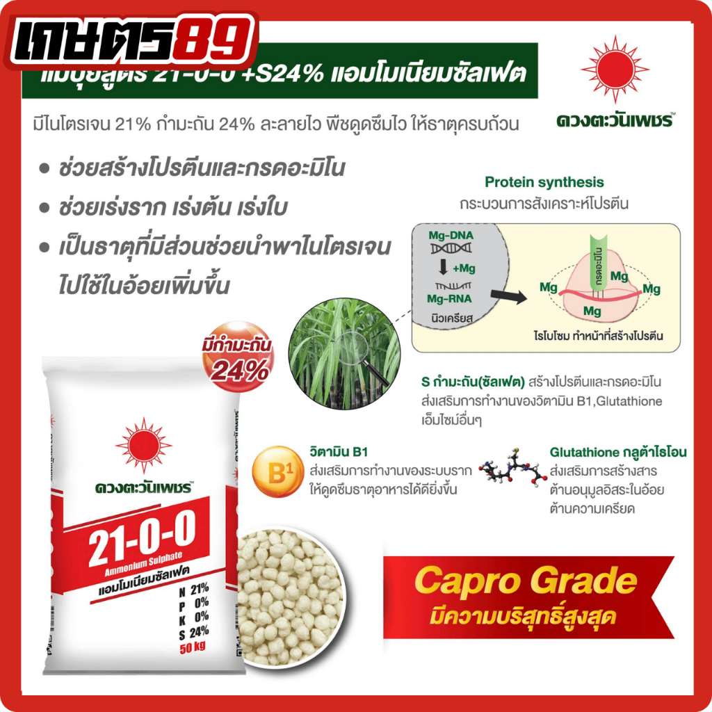 แม่ปุ๋ย21-0-0+S24%แอมโมเนียมซัลเฟต เร่งรากเร่งต้นเร่งใบละลายไว เม็ดแกร่งใส่เครื่องพ่นได้ แตกรากแตกกอ