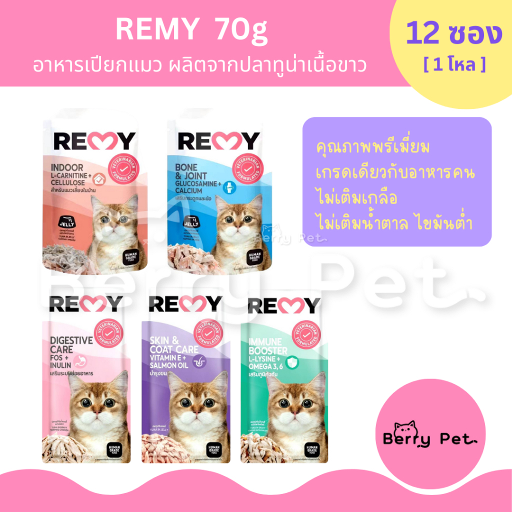 [12ซอง] Remy เรมี่ อาหารเปียกสำหรับแมว เพาซ์แมว 70g