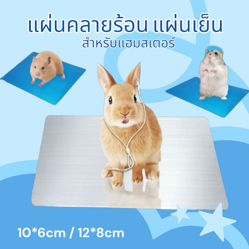Crazy pet shop 🐹แผ่นเย็นคลายร้อน สำหรับหนูแฮมสเตอร์ทุกสายพันธุสำหรับสัตว์เลี้ยงตัวเล็ก