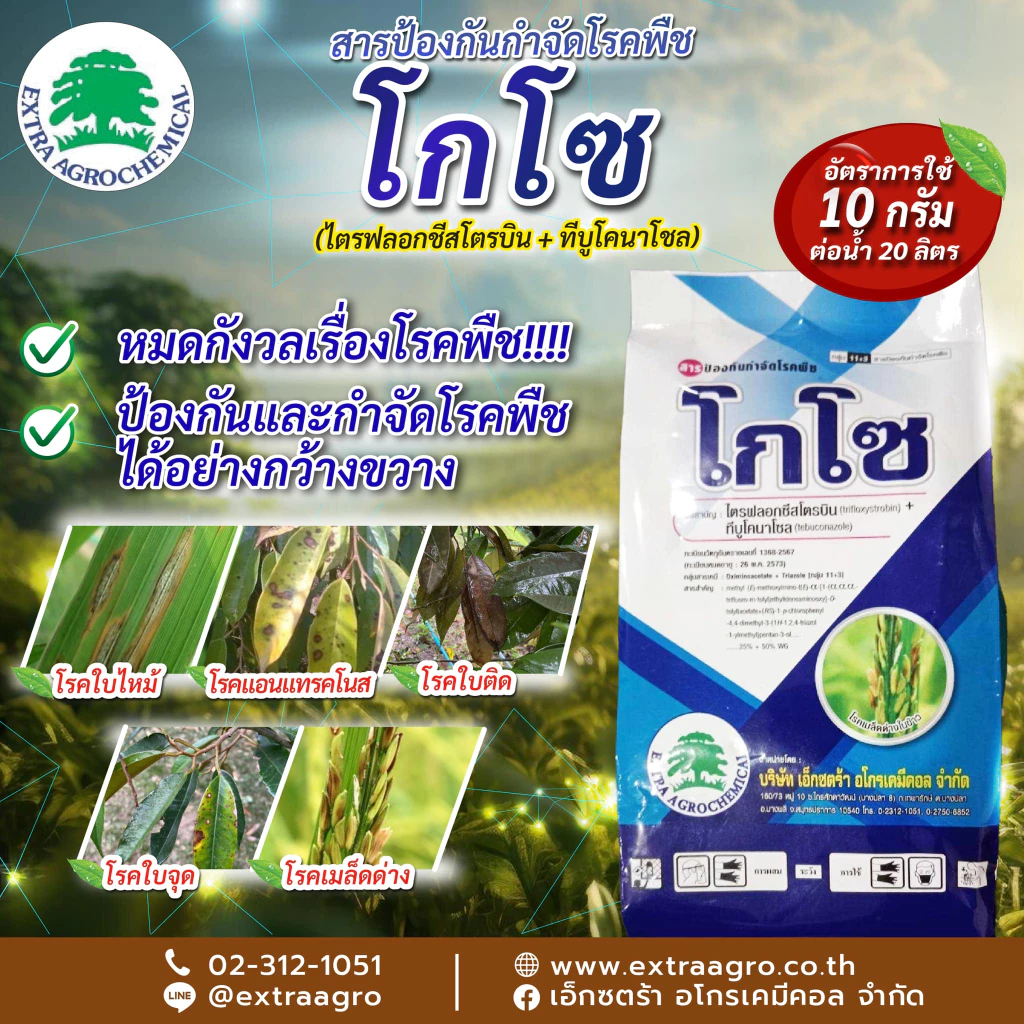 โกโซ 250 กรัม ( ทีบูโคนาโซล + ไตรฟลอกซีสโตรบิน 50% + 25% WG) สารกำจัดและป้องกันโรค นาติโว เอเทียจ