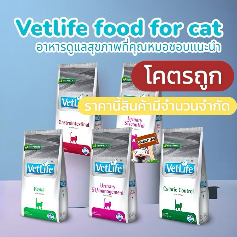 vetlife food for cat 2กก Exp.07/26 อาหารแมว อาหารเพื่อสุขภาพแมว urinary , renal , gastrointestinal