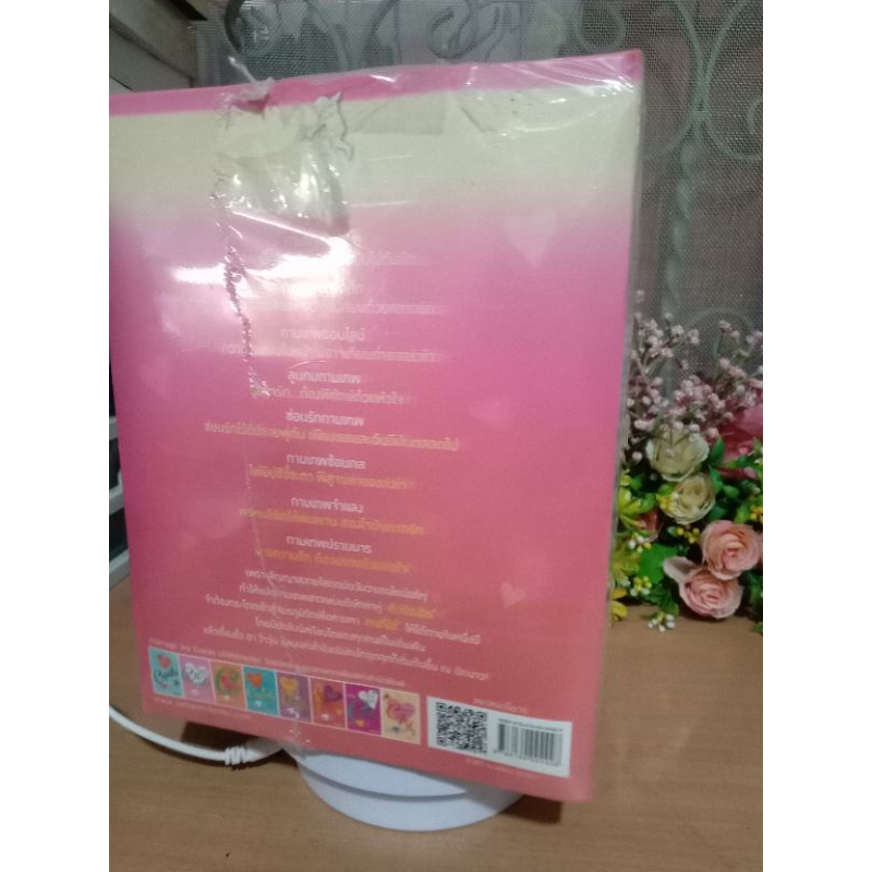 บริษัท​รักอุตลุด​ The Cupids Boxset กามเทพออกศึก กามเทพหรรษา กามเทพซ่อนกล กามเทพจำแลง กามเทพปราบมาร ลูบคมกามเทพ ใหม่