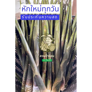 🌱ข้ออ่อนหน่อไม้ไผ่หวานสดต้ม 1-2 กิโลกรัม แพคสูญญากาศ(ไผ่หวาน)