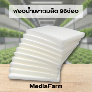 ฟองน้ำเพาะเมล็ดแบบยกห่อ100แผ่น