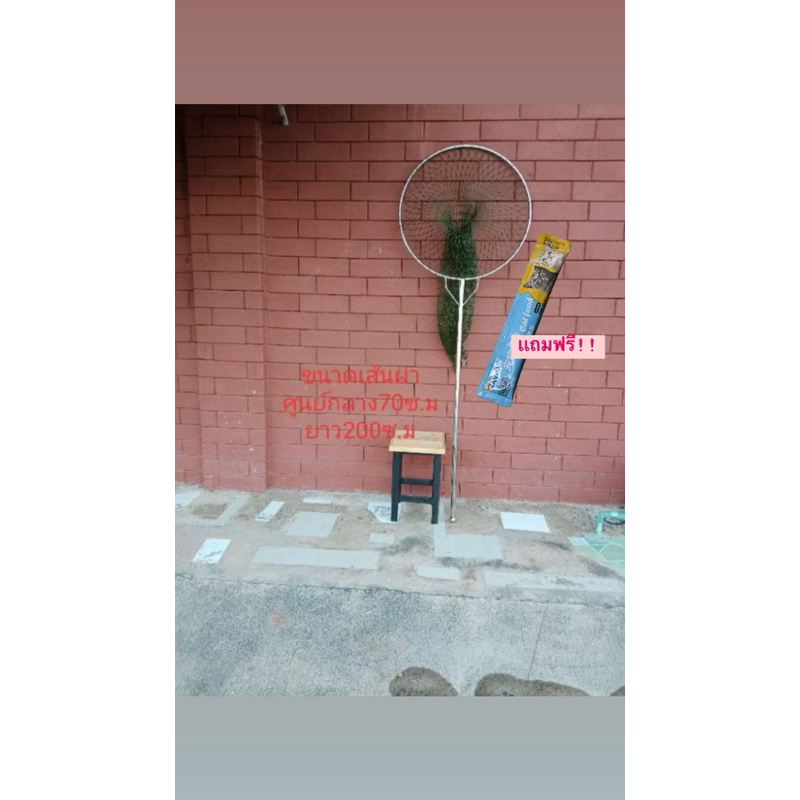 สวิงแสตนเลสของแท้จับหมา จับแมว ใจ