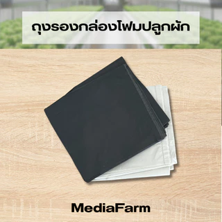 ถุงรองกล่องโฟม ถุงดำรองกล่องโฟม ถุงรองกล่องโฟมปลูกผัก