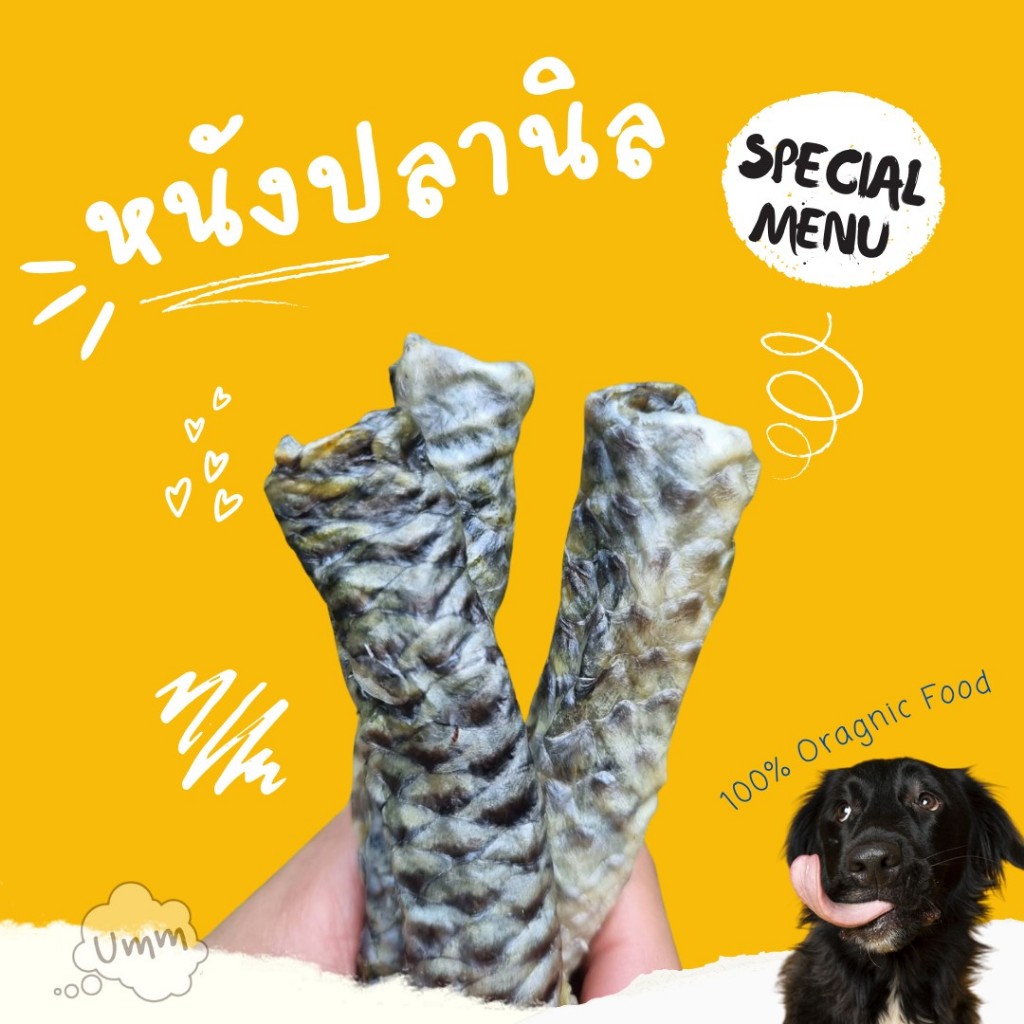 หนังปลานิลอบ ขนมแมว ขนมสุนัข umm ขนมหมา