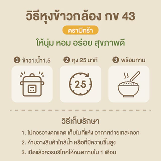 [ขายดี] ข้าวกล้องกข43 ( 5 กก.) น้ำตาลต่ำ ปลอดสาร ข้าวเพื่อสุขภาพ เกรดพรีเมี่ยม แบรนด์บีทร้า