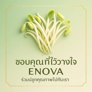 enova02 ฮอร์โมนโครตแข็งถั่วงอก ต้นตรงขึ้น ลดต้นยุบ ต้นเปื่อย สำหรับถั่วงอก