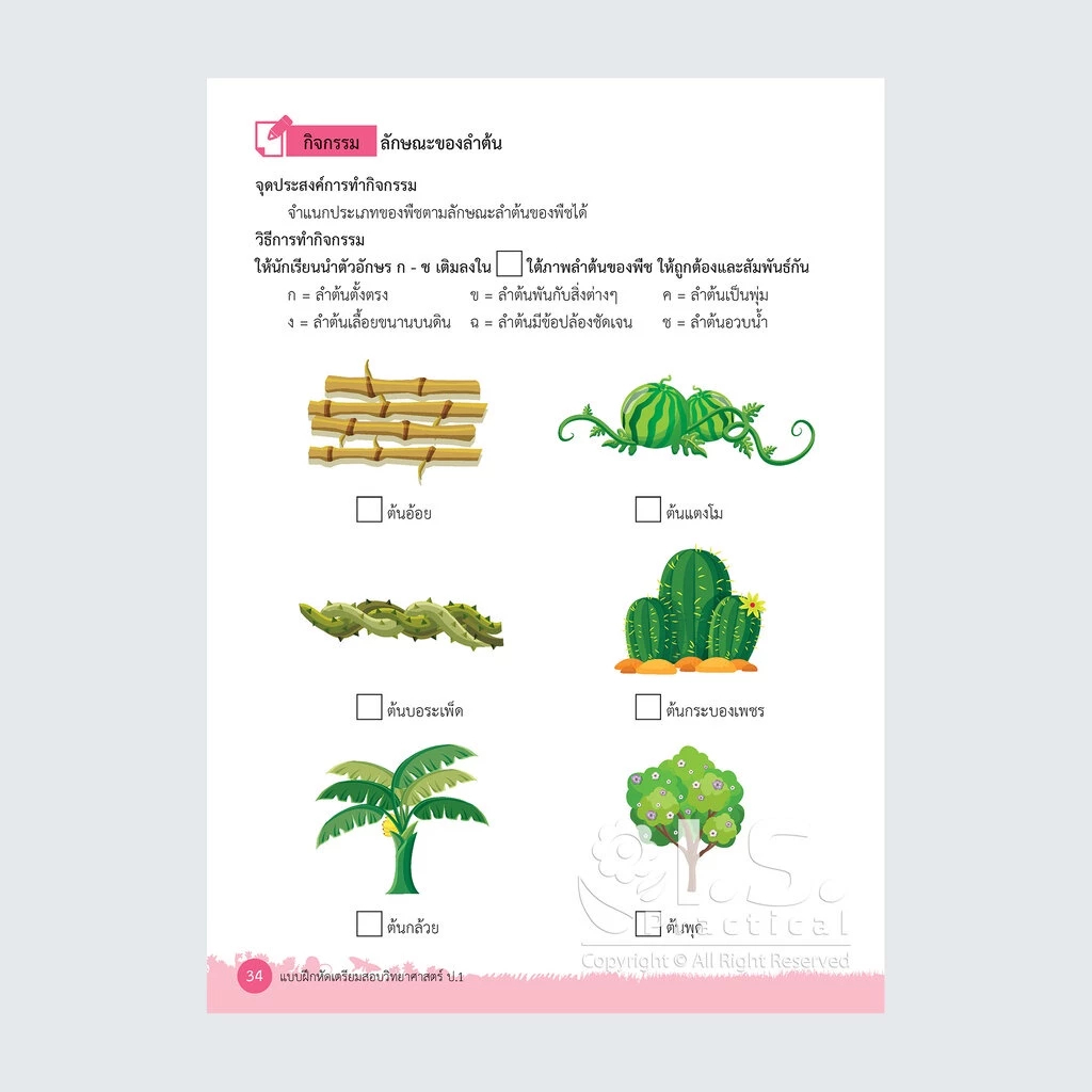 I.S. Practical แบบฝึกหัดเตรียมสอบวิทยาศาสตร์ ตามหลักสูตร สสวท. ป.1 - ป.3 - รูปที่ 6