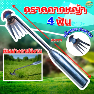 คราดถากหญ้า 6ฟัน 50cm - 4ฟัน 30cm อุปกรณ์ทำสวน ถอนราก ขุดหญ้า ขุดดินใช้กำจัดหญ้า วัชพืช เหล็กอย่างดี