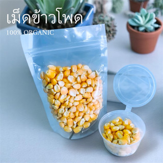 (แบ่งขาย) เม็ดข้าวโพดสำหรับสัตว์ แฮมสเตอร์ นก กระรอก หนู สัต…