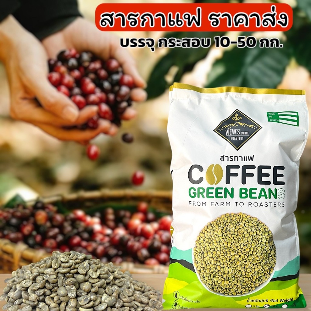 สารกาแฟ Arabica (Washed Process) ยกกระสอบ 10 KG