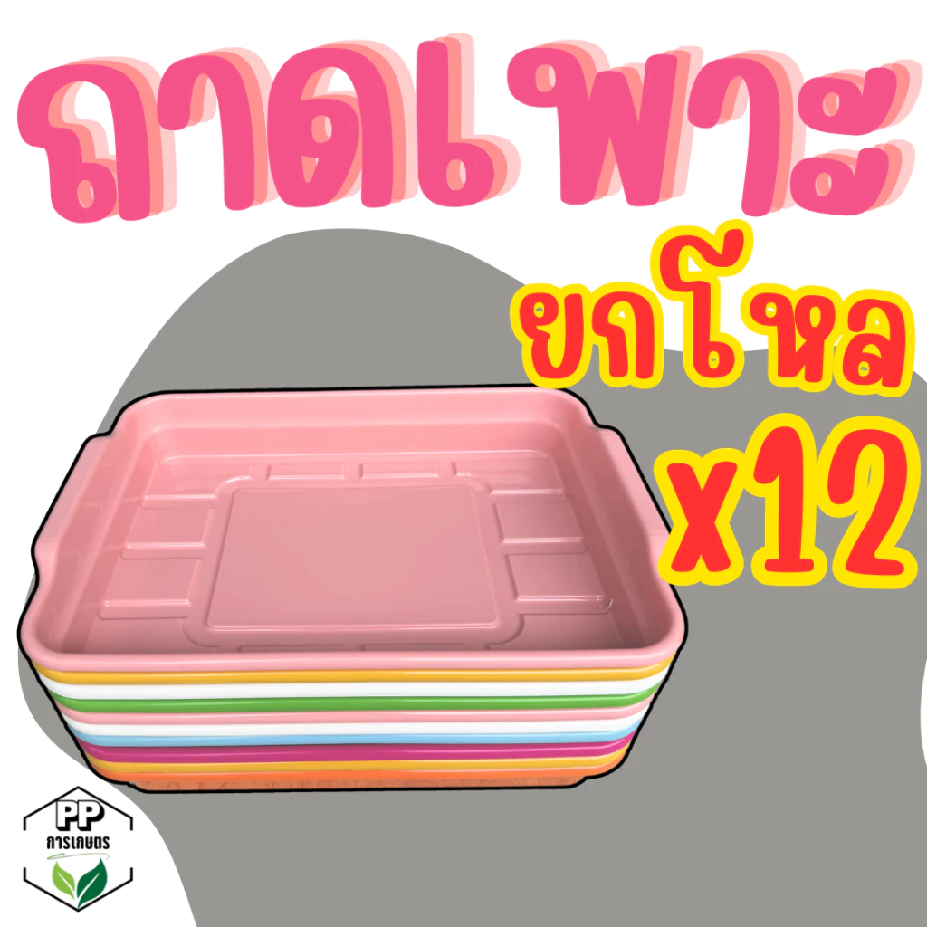 ถาดเพาะ ใส่ฟองน้ำได้พอดี ถาดยกโหล 12 ชิ้น ถาดเพาะต้นกล้า (*แบบคละสี*)