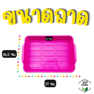 ถาดเพาะ ใส่ฟองน้ำได้พอดี ถาดยกโหล 12 ชิ้น ถาดเพาะต้นกล้า (*แบบคละสี*)