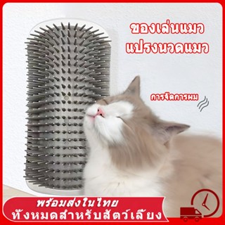 🐾หวีขนสุนัข แปรงนวดแมว ที่นวดแมวแปรงขนแมว หวีแมว ของเล่นแมว …