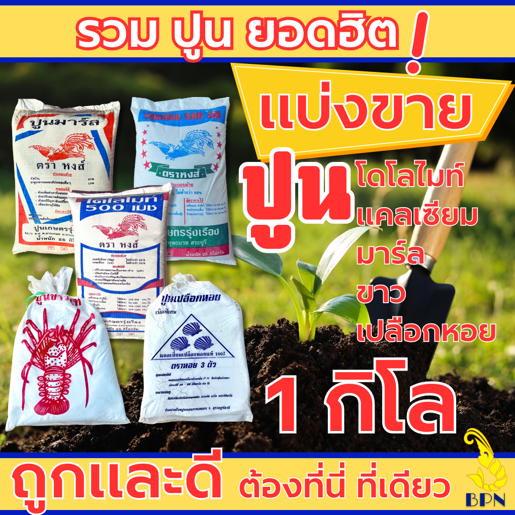 ปูนแบ่งขาย 1 กิโลกรัม ปูนโดโลไมท์ ปูนแคลเซียม ปูนมาร์ล ปูนขาว ปูนหอย