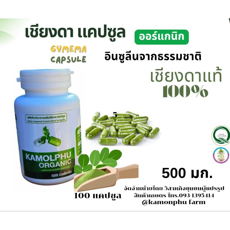 เชียงดาออร์แกนิค  มี อย. ขนาด500 มก.60/100 แคปซูล 6 กป.ส่งฟรี