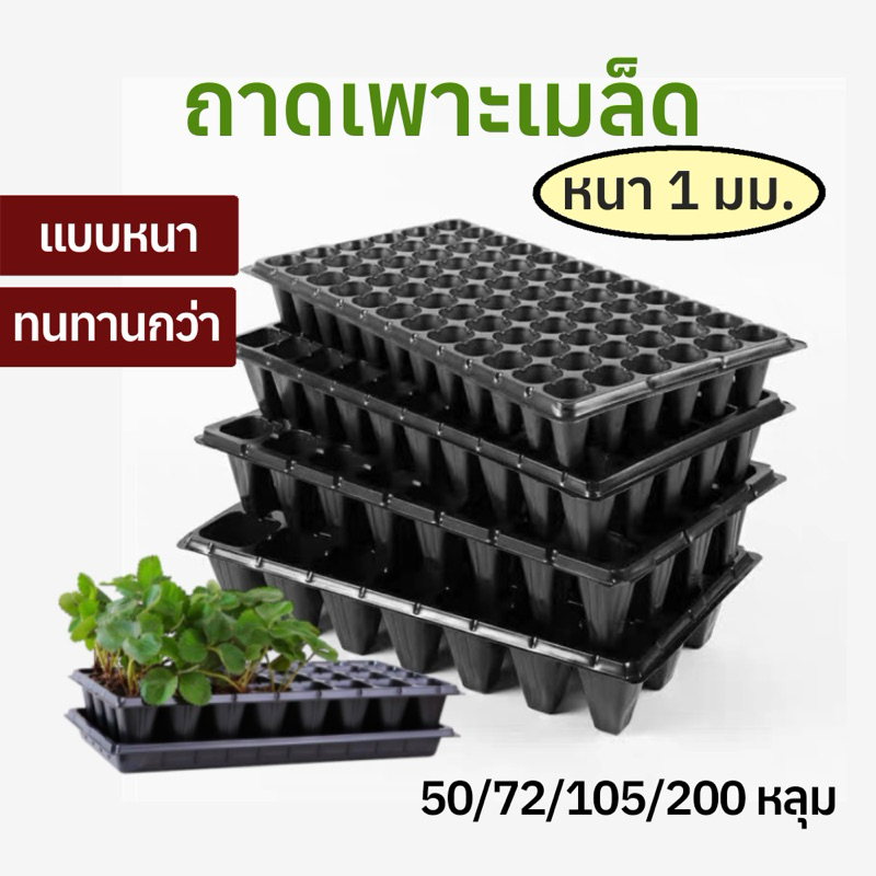 ถาดเพาะเมล็ด ถาดเพาะกล้า (เกรดหนา ทนทานกว่า)