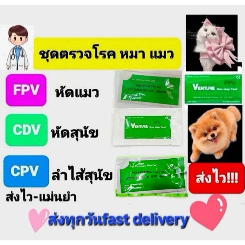 ชุดตรวจไข้หัดแมว ไข้หัดสุนัข ลำไส้อักเสบสุนัขส่งจากไทยส่งไวมากมาก