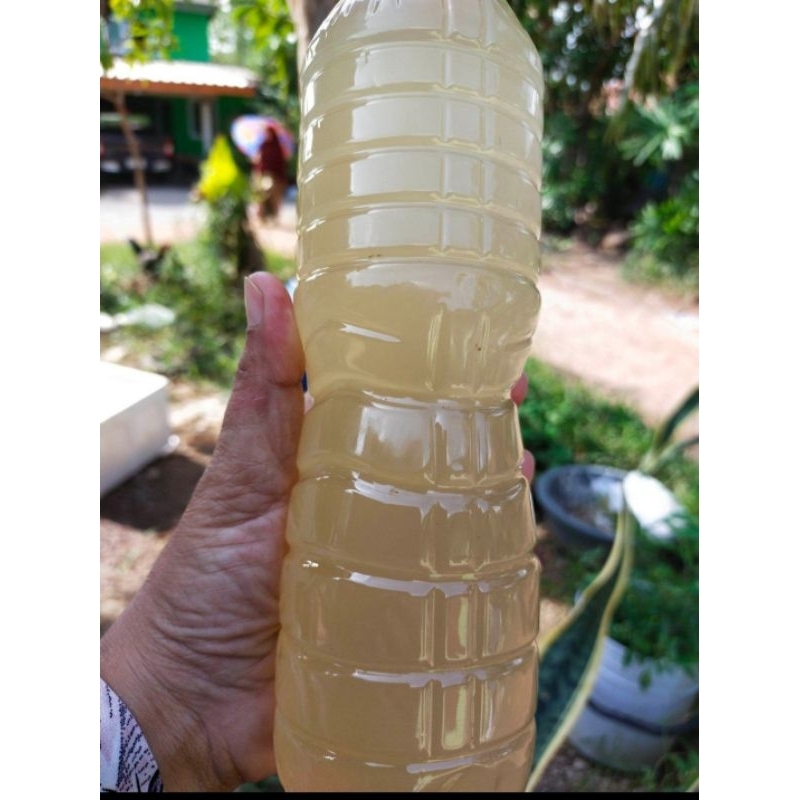 น้ำส่มตะโหนดจากสิงหนคร