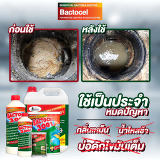 BACTOCEL 3001 300ml. ดับกลิ่นเหม็นไขมัน ย่อยสลายไขมัน แบคโตเซล บ่อดักไขมัน กลิ่นเหม็นส้วม ท่อตัน