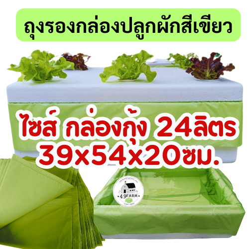 ถุงรองกล่องปลูกผักใช้กับ***กล่องกุ้ง ขนาด 39x54x20 ซม. จุน้ำ 24ลิตร สีเขียว