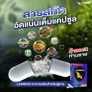 แลมโบร อาหารเสริมผู้ชาย 2 แคปซูล 6 กล่อง (แบบพกพา)
