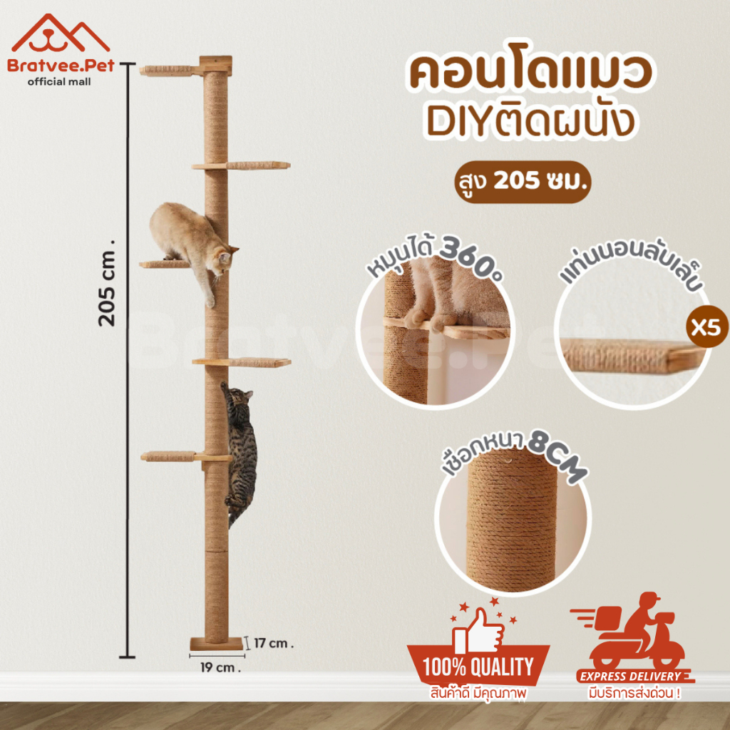 [Bratvee] คอนโดแมวติดผนัง บ้านแมว DIY เฟอร์นิเจอร์สัตว์เลี้ยง ติดผนังได้ แข็งแรง ทนทาน มีหลุมอวกาศใส