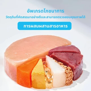 🔥 แถม 50 g. * 2 ซอง 🔥 Mr. VET 1 kg. อาหารแมว Holistic ผสมฟรีซดราย สำหรับแมวทุกวัย ไก่ แซลมอน บำรุงขน