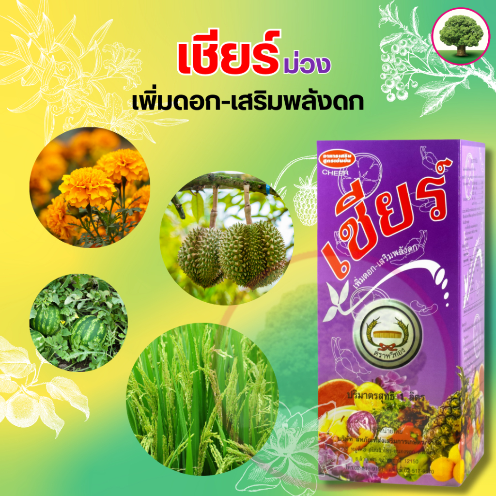 เชียร์ม่วง ช่วยในการผสมเกสร ฮอร์โมนพืช ตราหวีทอง  มี 2 ขนาดให้เลือก