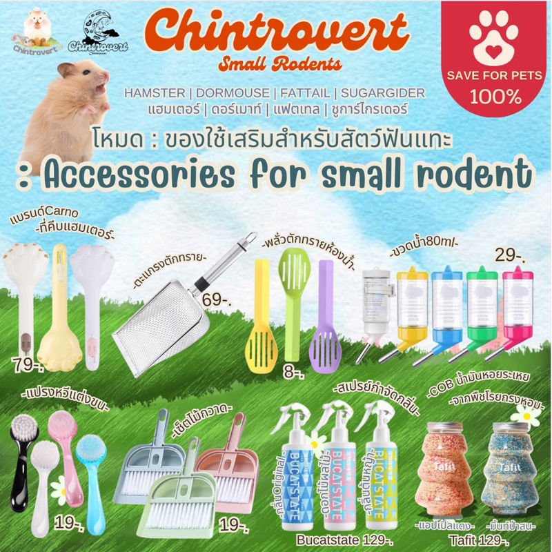 Chintrovert ✨| Accessories for small rodents รวมไอเทมเด็ดสำหรับสัตว์ฟันแทะ (หน้า1) | แฮมเตอร์ แฟตเทล ดอร์เมาท์ ชูการ์