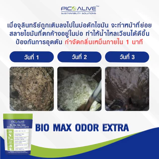 Bio Max 100 g. จุลินทรีย์บำบัดกลิ่นเหม็น ส้วมตัน ท่อเหม็น ย่อยสลายสิ่งปฏิกูล กากตะกอน ของเสีย
