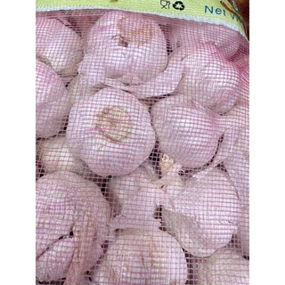 กระเทียมจีนหัวใหญ่ หัว4.5cm กระเทียมปิงปองยกกระสอบ น้ำหนัก9.5-10กิโลกรัม