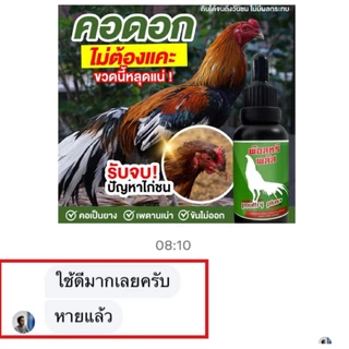 พ๊อตทรีพลัสคอดอกคอดังคอดังเรื้อรัง