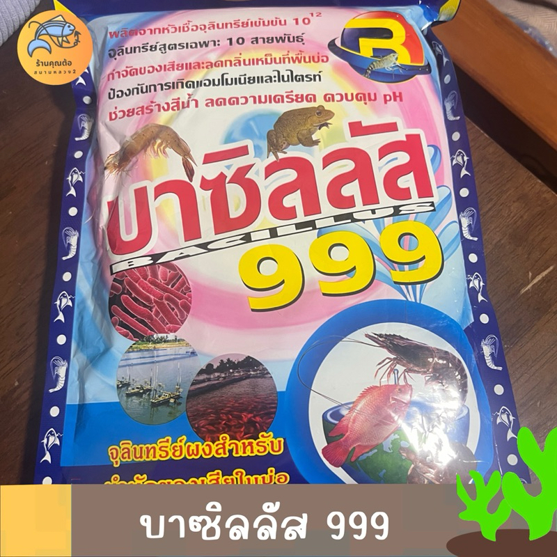 [1kg] บาซิลลัส999 จุลินทรีย์ผงบำบัดน้ำเสียในบ่อเลี้ยงสัตว์น้ำ สร้างสีน้ำ ลดความเครียด ควบคุม pH