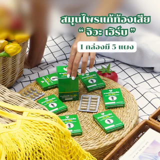 ยาแก้ท้องเสีย ปวดท้อง ท้องร่วง ถ่ายเหลว ยาสามัญประจำบ้าน ยาสมุนไพรแก้ท้องเสีย : จิวะเฮิร์บ