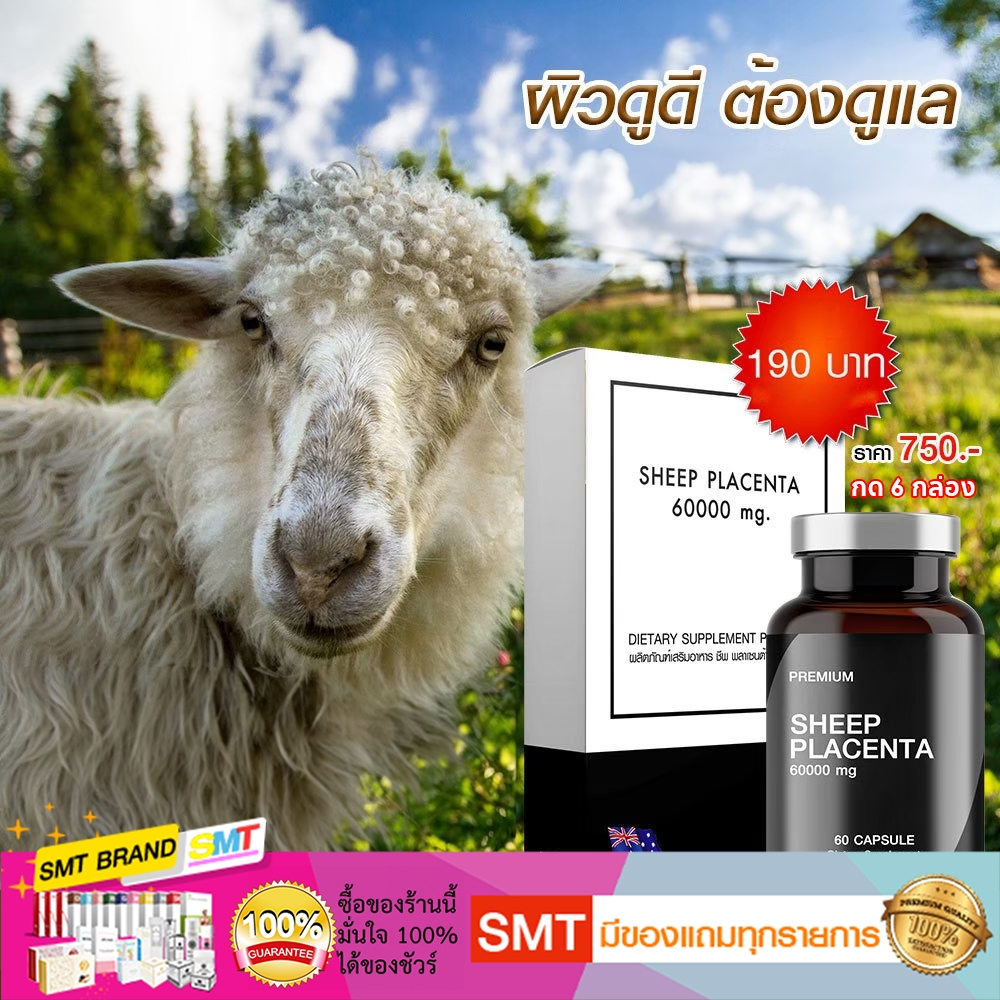 รกแกะหน้าเด็ก 60000 mg ลดรอยตีนกา หน้าตึง ไม่เหี่ยว หน้าอิ่มฟู ยกกระชับ ออสเตรเลียแท้ SHEEP PLACENTA - รูปที่ 7