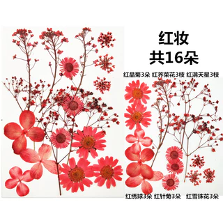 【 🌸 พร้อมส่ง ] 🌸 18pcs ดอกไม้จริงดอกไม้แห้งลายนูนหลายสไตล์ตัวเลือก DIY ทำด้วยมือวัสดุ