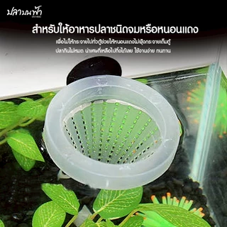 กรวยให้อาหารสด กรวยใส่หนอนแดง กรวยใส่ไรแดง สำหรับปลา ลูกปลาทุกชนิด มีจุ๊บยึดติดข้างตู้ในตัว คละสี FOOD FUNNEL
