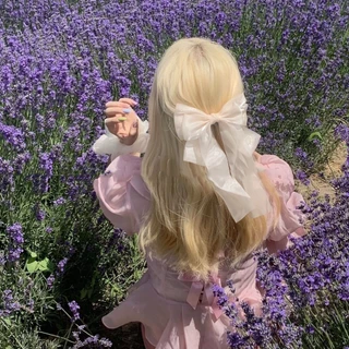กิ๊ฟติดผม โบว์เน็ตติดผม🎀 ขนาดใหญ่ สีสันสดใส ยาวรัดผม หลากสี หวาน สำหรับผู้หญิง เครื่องประดับแฟชั่น✨