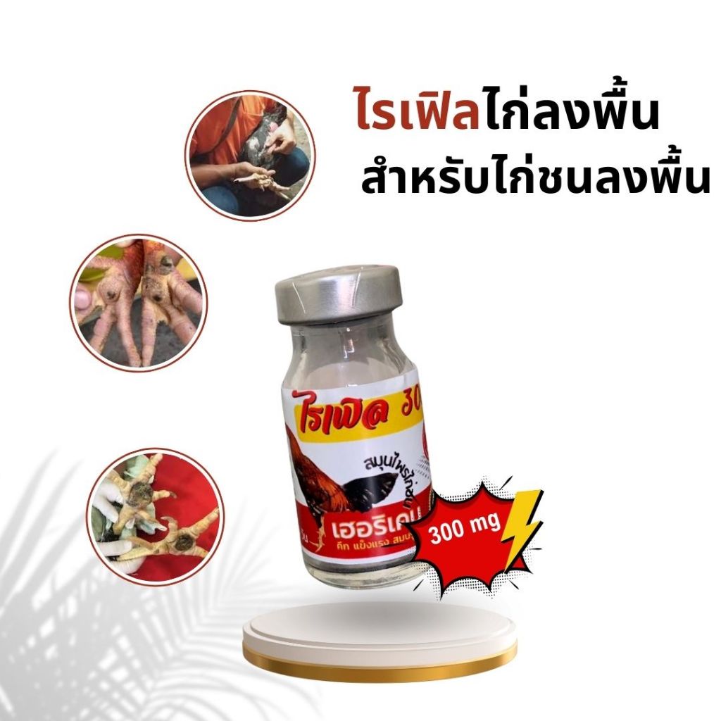 ไก่ข้อบวม ขาบวม เฮอริเคนไก่ชน 1 ขวด