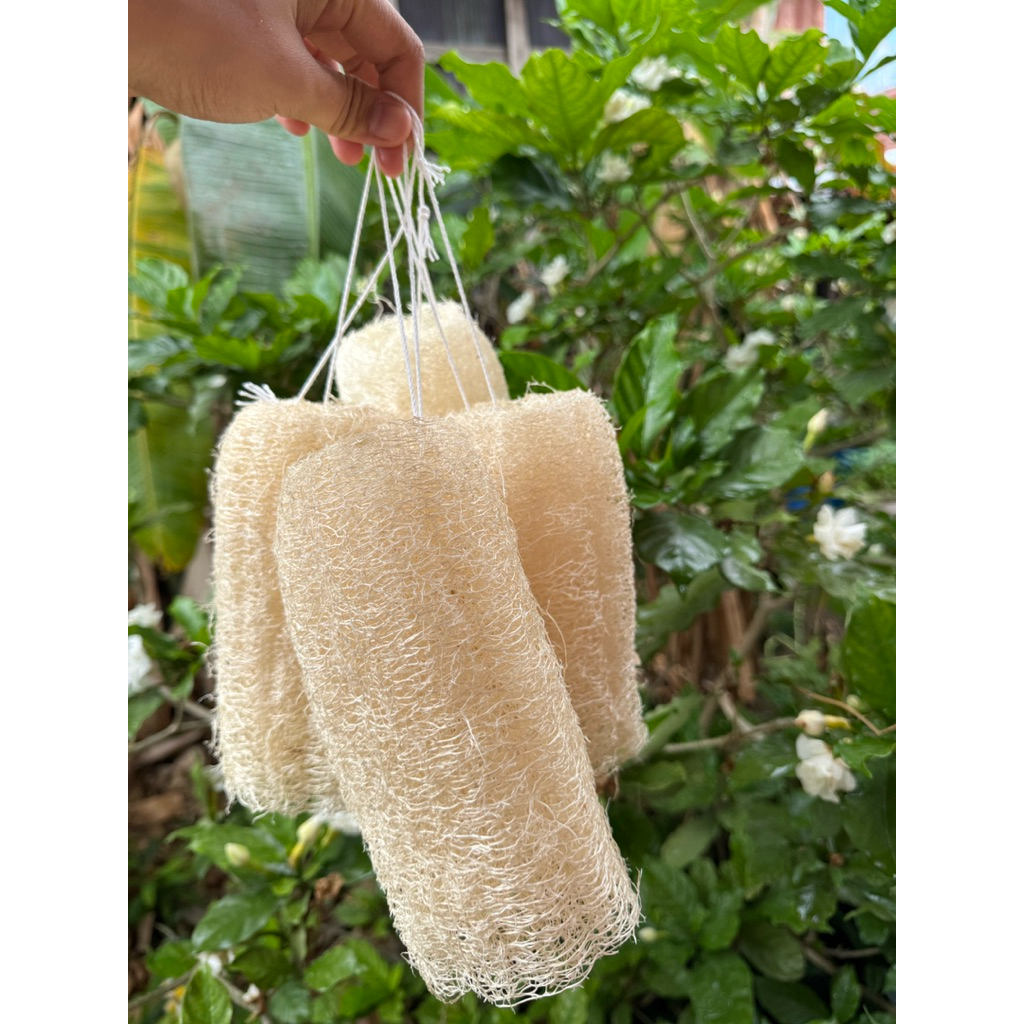 ใยบวบร้อยเชือกชุด 5ชิ้น ขนาด 6-8 นิ้ว ใยบวบขัดผิว ใช้สะดวกสบาย ใยบวบทำจากธรรมชาติ สำหรับการใช้งานที่ง่ายและสะดวก - รูปที่ 4