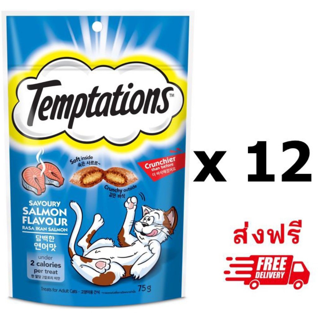 Temptation เทมเทชันส์ รสแซลม่อน ขนาด 75g.  12 ซอง