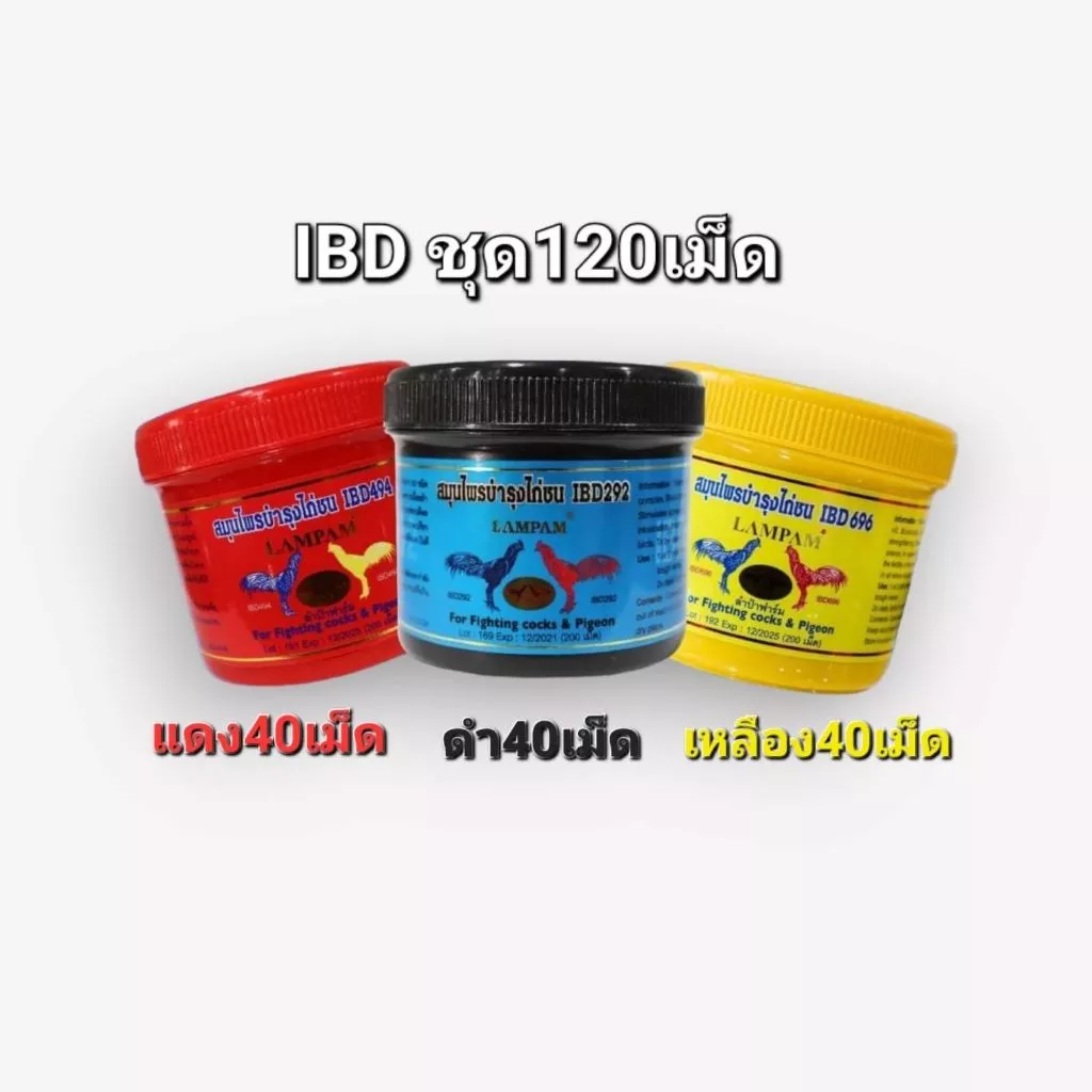 ชุดเลี้ยงไก่ชนIBD อาหารนก ครบชุดอุปกรณ์สัตว์เลี้ยง