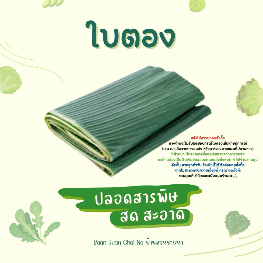 ใบตองสด ใบกล้วยน้ำว้า 1 กิโล จากสวนปลอดสารพิษ ใช้ห่อขนม ทำกระทง