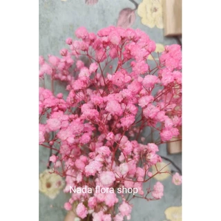 สีสเปรย์พ่นดอกไม้สดสำหรับเปลี่ยนสีดอกไม้มีให้เลือก16เฉดสีขนาด450ml
