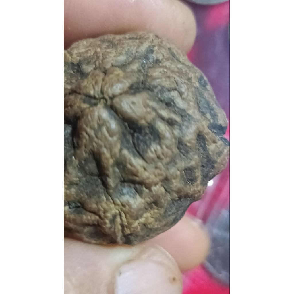 เบี้ยแก้ไม่ทราบกรุ(n29)